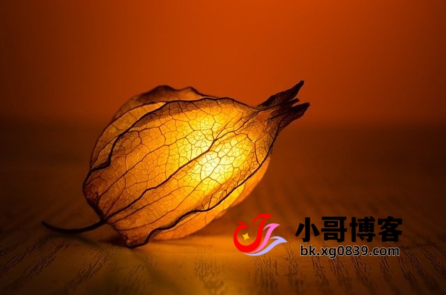 安慰身边失恋人的文案句子 安慰身边失恋人的文案句子